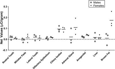 Oxytocin Receptor Binding Sites in the Periphery of the Neonatal Prairie Vole